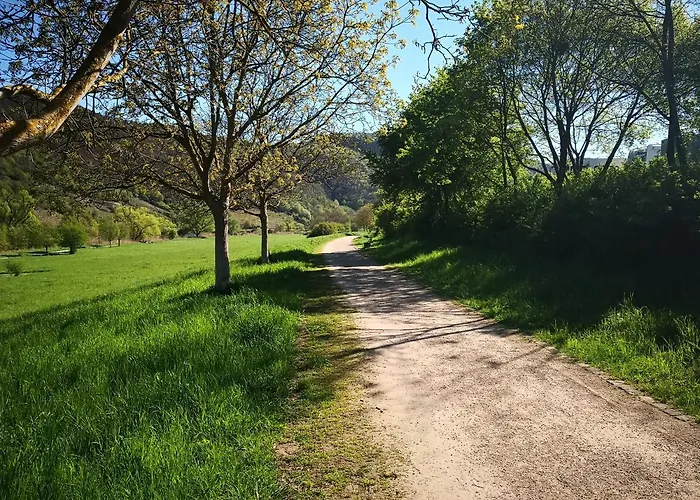 Ferienhaus MaLeFi 2 am Gülser Moselbogen